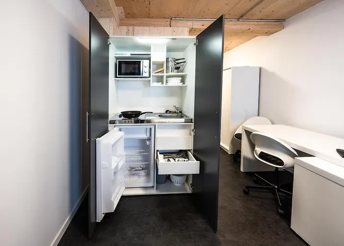 公寓式酒店 Boardinghouse-landau 3*