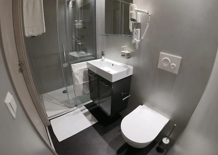 公寓式酒店 Boardinghouse-landau 3*